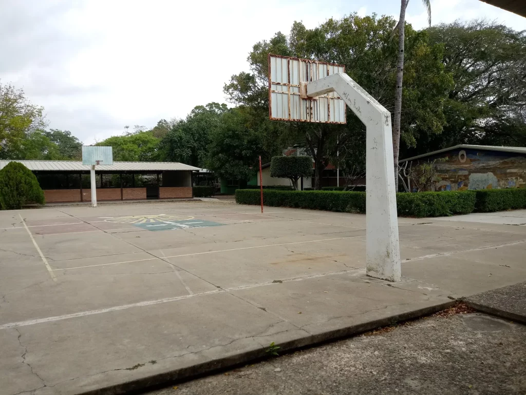 deportivas-01-canasta