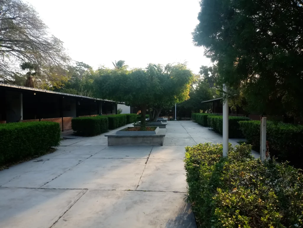 vida-escolar-02-jardin